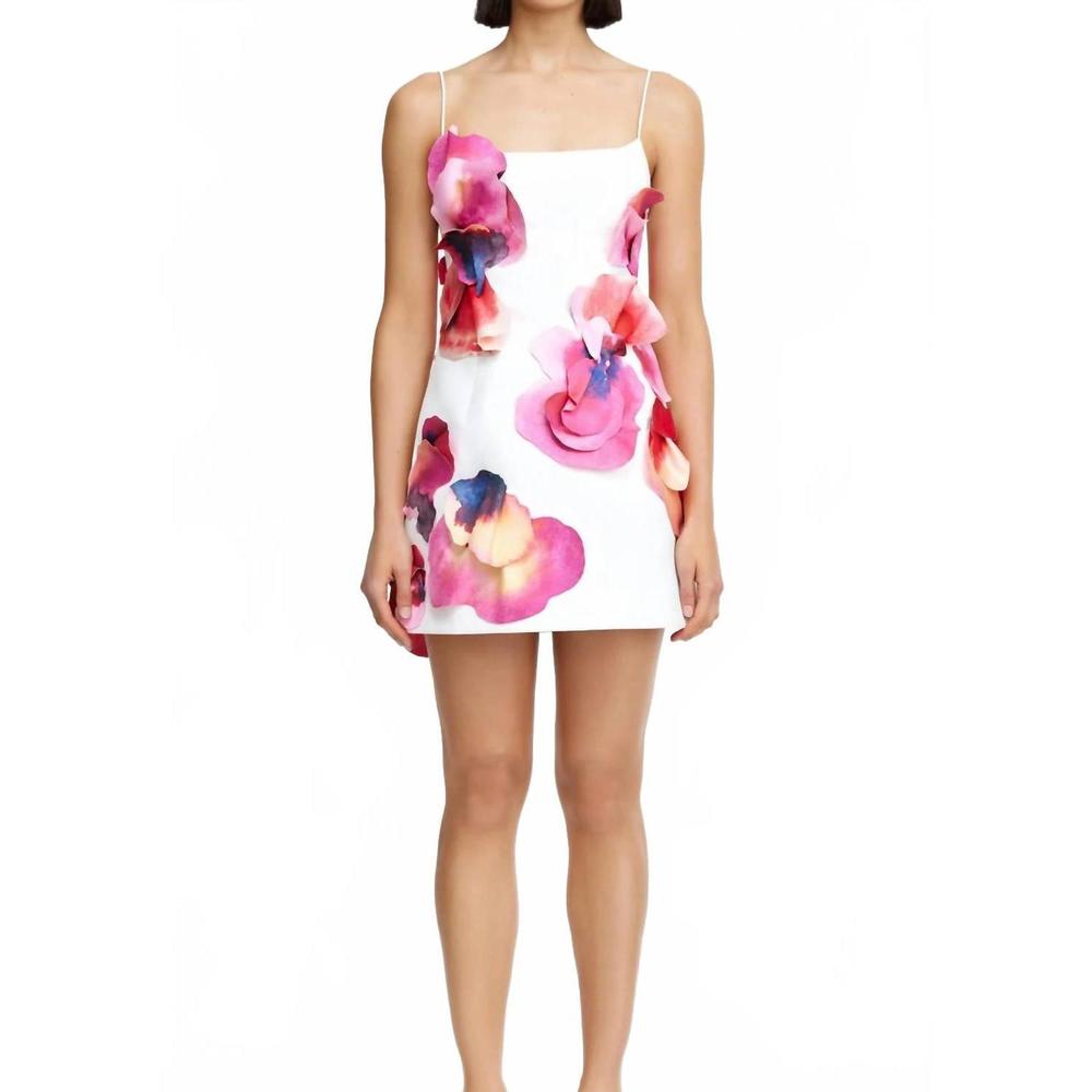 NEW ACLER miltonrise mini dress in multi
